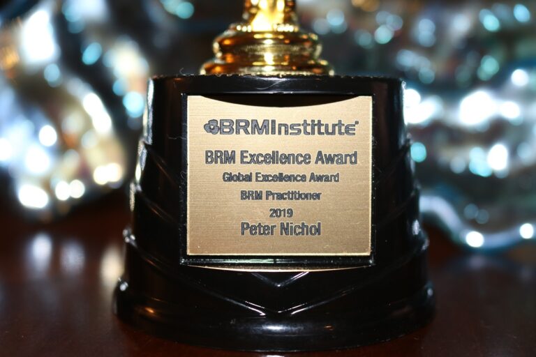 2019 BRM Global Excellence Award Winner for BRM Practitioner